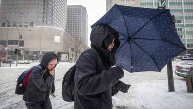 Plus de 120 000 foyers sans électricité en raison des forts vents