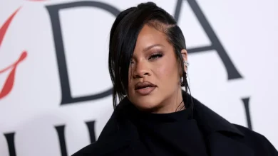 Police audio captures chaos after shots fired at Rihanna mansion - London Evening Standard