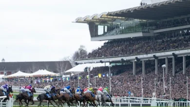 Police make no arrests after betting shop fight on opening day of Cheltenham Festival