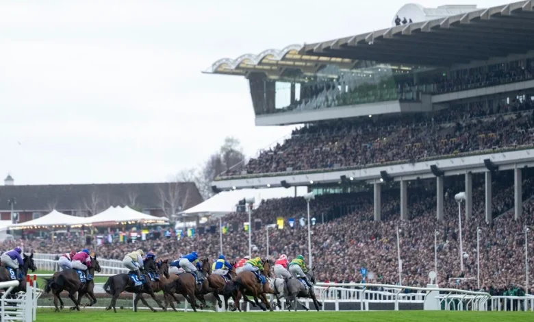 Police make no arrests after betting shop fight on opening day of Cheltenham Festival