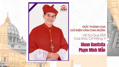 Pope praises 'profound witness' of late Cardinal Jean-Baptiste Pham Minh Mân