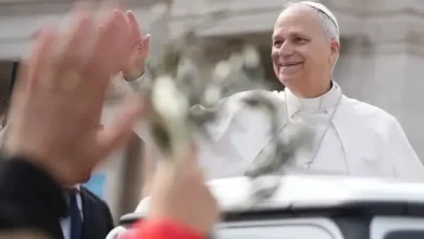 Pope uses Palm Sunday Mass to reject claims God justifies war