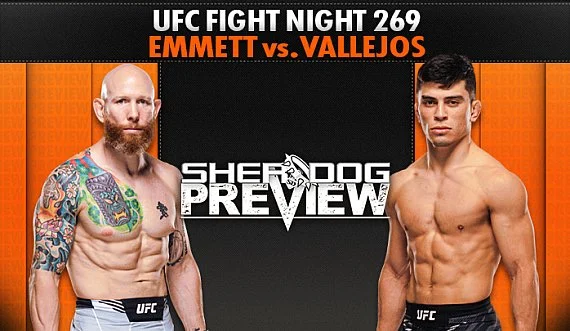 Preview: UFC Vegas 114 ‘Emmett vs. Vallejos’