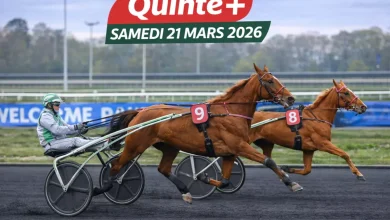Pronostics Quinté du jour ce samedi 21 mars : cotes probables, favoris, outsiders et analyse presse