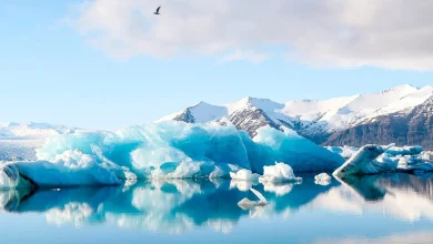 Protecting the planet’s most fragile shorelines: Concordia prof wins Dorothy Killam Fellowship