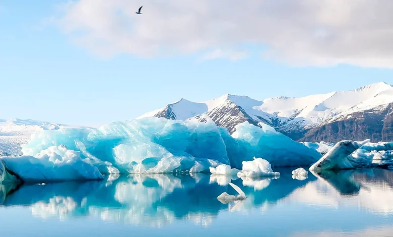 Protecting the planet’s most fragile shorelines: Concordia prof wins Dorothy Killam Fellowship
