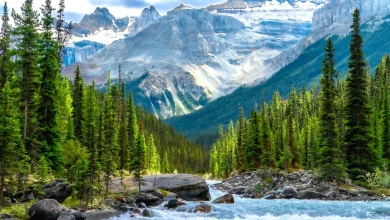 Provincial nominees invited in latest Express Entry draw