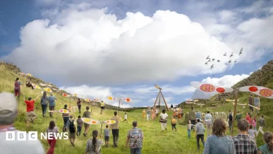 Public invited to pick Sycamore Gap tree artwork commission