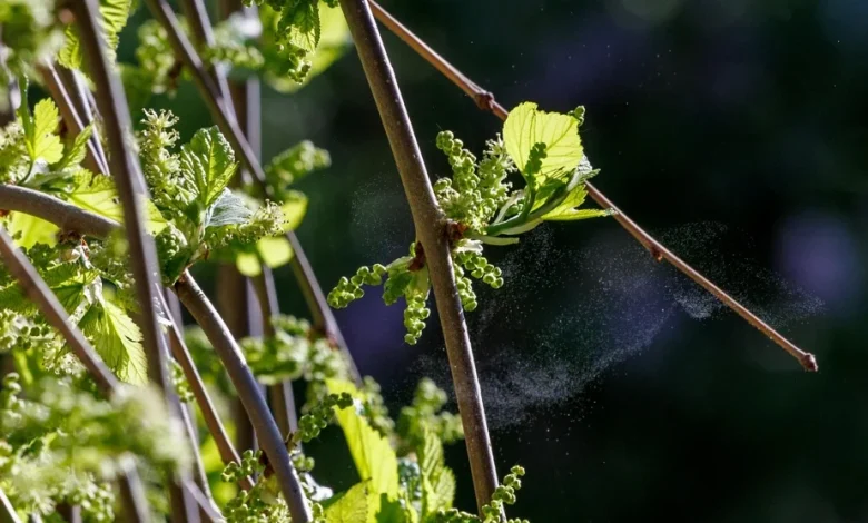 Quand arrivera le printemps 2026 ?