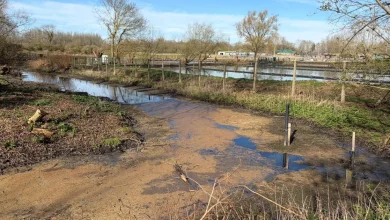 'Raw sewage' spills next to footpath at treatment works