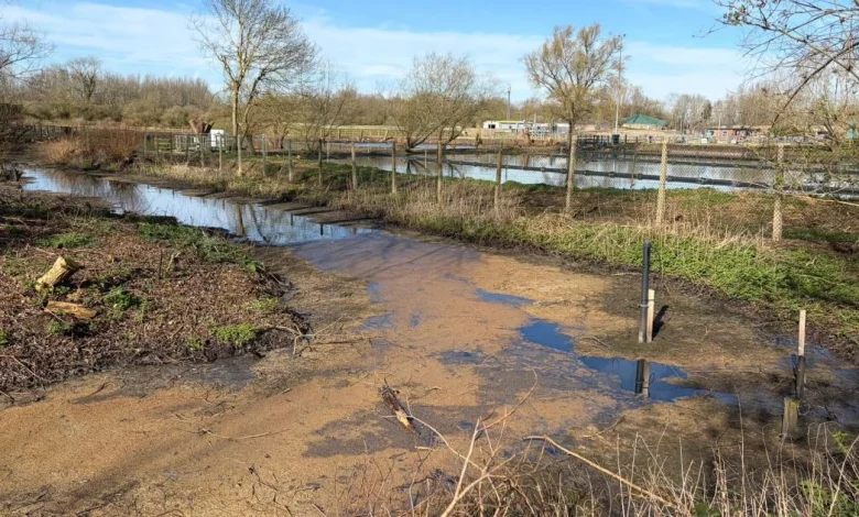 'Raw sewage' spills next to footpath at treatment works