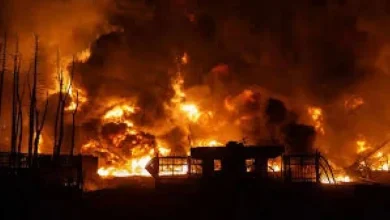 Readers Lose Immediate Access to Nikkei 225 Data After Site Robot Check