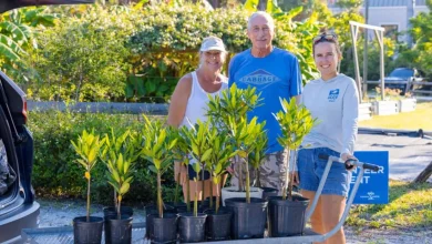 Record-breaking adoption season