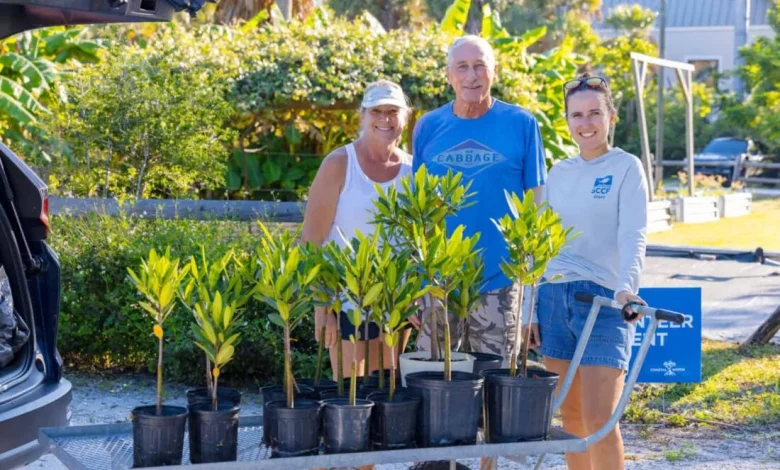 Record-breaking adoption season