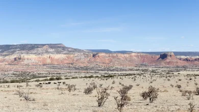Reframing Georgia O'Keeffe's legacy and protecting the land she loved