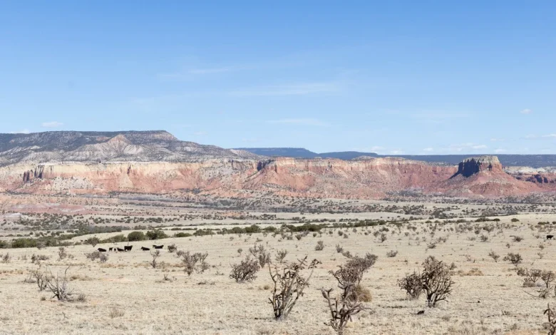 Reframing Georgia O'Keeffe's legacy and protecting the land she loved