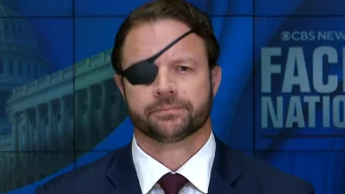 Rep. Dan Crenshaw says misinformation played role in primary loss, asks "are you going to believe everything you read online?"