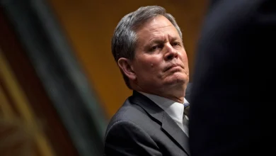 Republican senator Steve Daines of Montana won't seek re-election