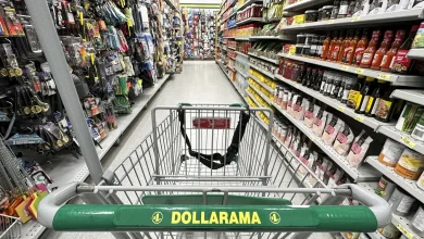 Retailer Dollarama reports Q4 profit and sales up, raises quarterly dividend