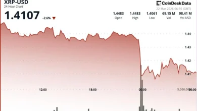 Ripple linked token falls 3% as bitcoin weakness caps recovery