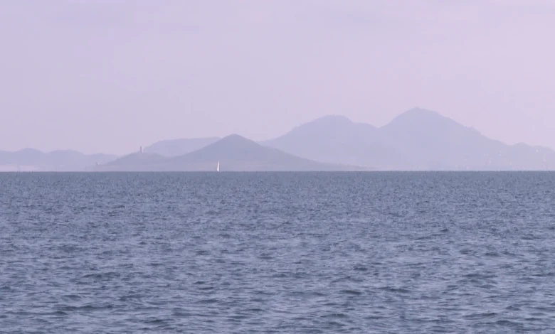 Roban un millar de ostras de un proyecto científico del Mar Menor