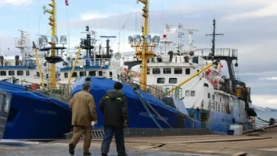 Russian Cod Landings in Norway Top One Billion Kroner