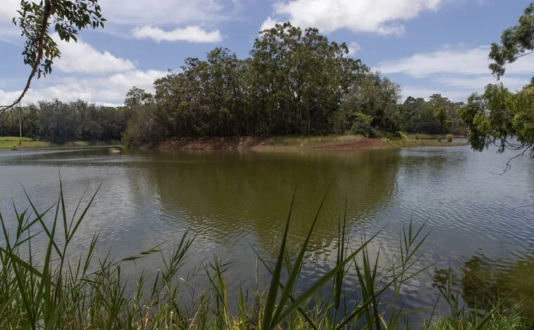 STAR-ADVERTISER FILE Pictured is an overall view of Wahiawa Reservoir from the Kemoo shoreline.