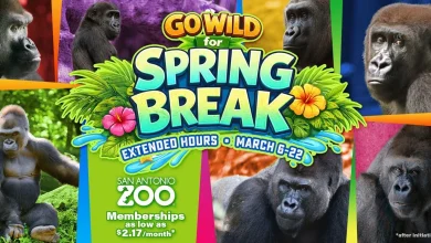 San Antonio Zoo celebrates Spring Break: Featuring Congo Falls and Pollinators exhibits!
