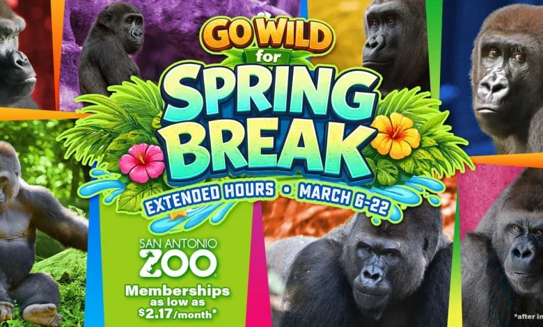San Antonio Zoo celebrates Spring Break: Featuring Congo Falls and Pollinators exhibits!
