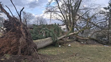 Severe weather in SW MI prompts State Emergency Operations Center activation