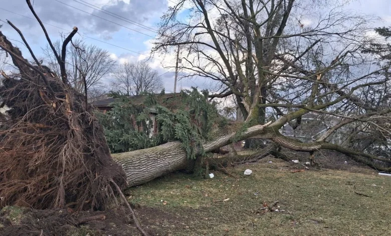 Severe weather in SW MI prompts State Emergency Operations Center activation