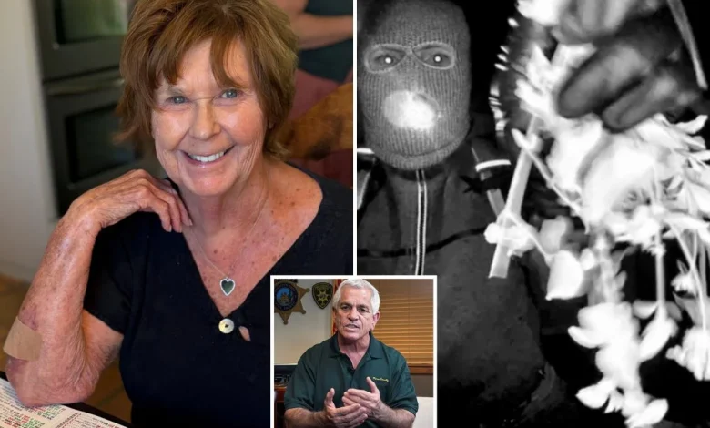 Sheriff leading Nancy Guthrie case thinks he knows why mom was 'targeted' -- warns suspect could strike again