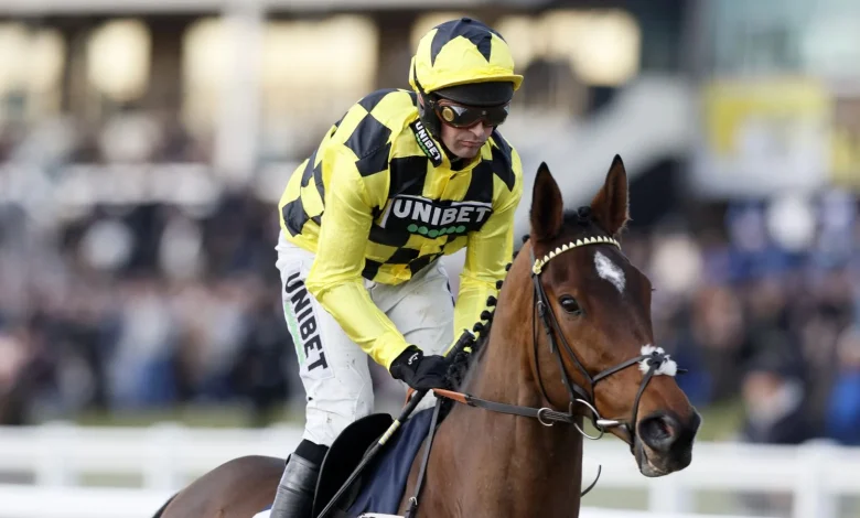 Sir Gino dies: Nicky Henderson's multiple Grade 1 winner passes away after 'severe deep-seated infections'