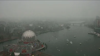 Snow expected across southwestern B.C. from Lower Mainland to Vancouver Island