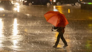 Soaking rain Thursday sets up Toronto's warmest weekend of 2026