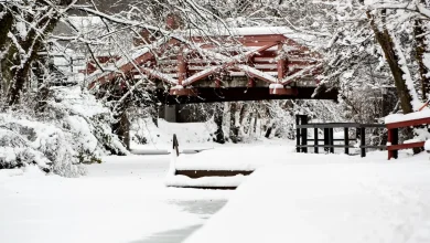 Some Bucks County schools announcing delays for tomorrow