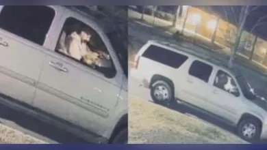 South Fulton police seek help in March murder of teen