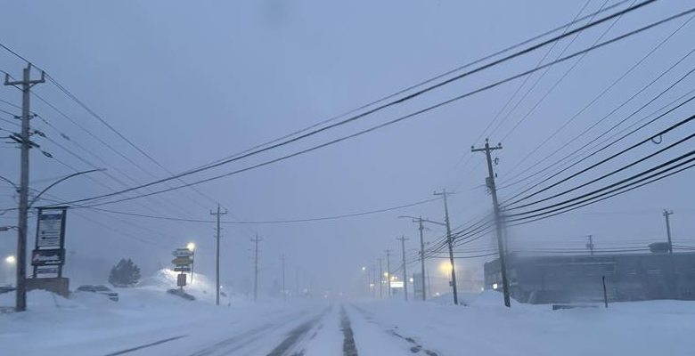 Spring Snow Storm to Dump Upwards of 40 cm on Metro Region