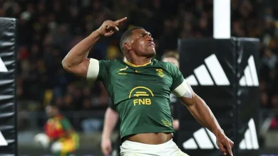 Springboks and All Blacks untouchable in World Rugby Rankings