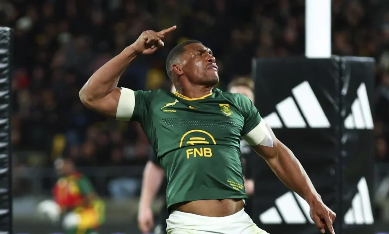 Springboks and All Blacks untouchable in World Rugby Rankings