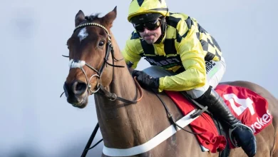 Star hurdler Sir Gino has been put down, trainer Nicky Henderson announces