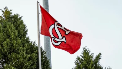 Statements from Paul Mainieri and Director of Athletics Jeremiah Donati – University of South Carolina Athletics