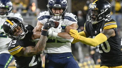 Steelers add veteran special teamer Travis Homer