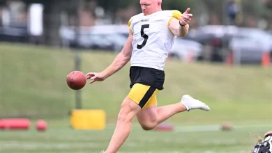 Steelers bring back veteran punter Cameron Johnston on one-year deal