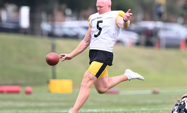 Steelers bring back veteran punter Cameron Johnston on one-year deal