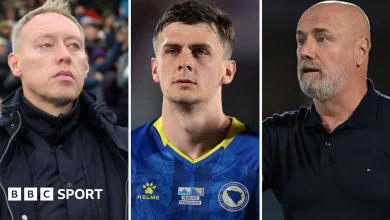 Steve Cooper: Brondby manager accused of dropping Bosnia-Herzegovina player before Wales' match