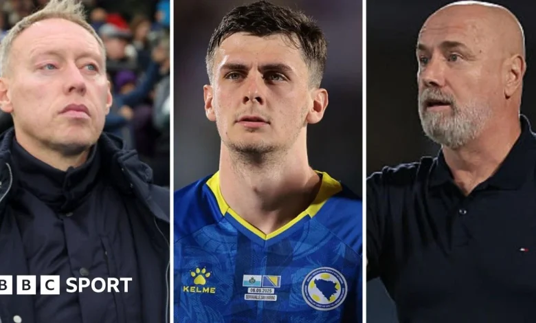 Steve Cooper: Brondby manager accused of dropping Bosnia-Herzegovina player before Wales' match