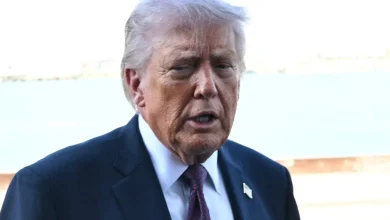 Steven Cheung Melts Down After Trump Is Accused of Going Missing