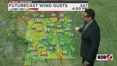 Strong winds and sudden cold snap coming to New Mexico this weekend