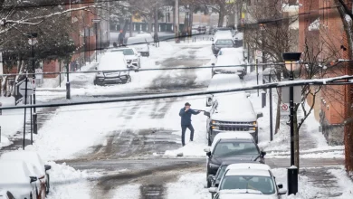 Sud du Québec | Près de 10 cm de neige attendus